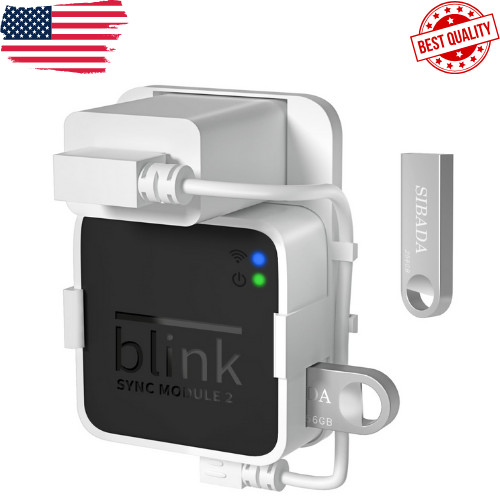 256GB Blink USB Flash Drive for Local Video Storage with the Blink Sync Module 2