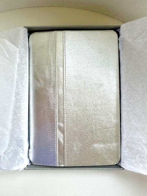 RH Restoration Hardware Teen Metallic Leather Pouch iPad Mini Case NIB