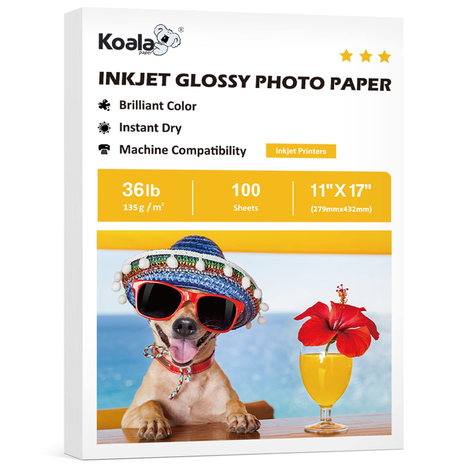 100 PCS Glossy Thin Inkjet Printer Paper 11x17 Inch Flyer 36Lb Dye Ink