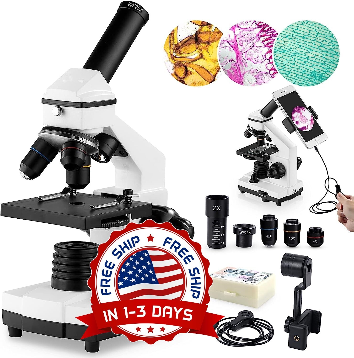 Microscopio con kit de portaobjetos para estudiantes laboratorio escolar en casa