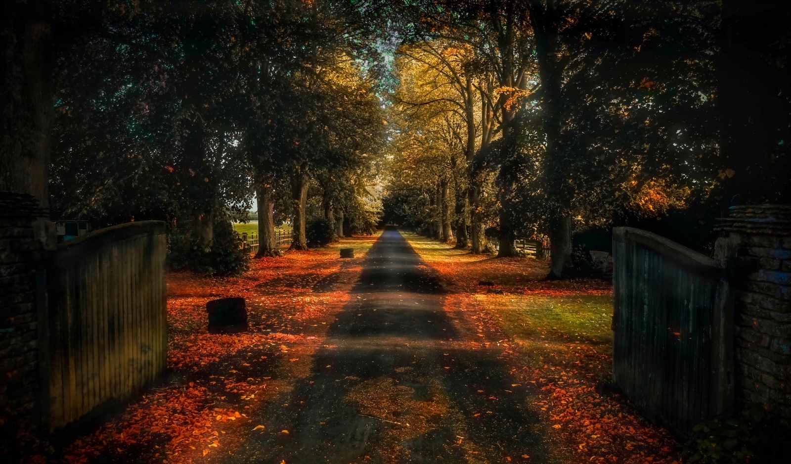 Landscape trees road nature fall Custom Gaming Mat Desk