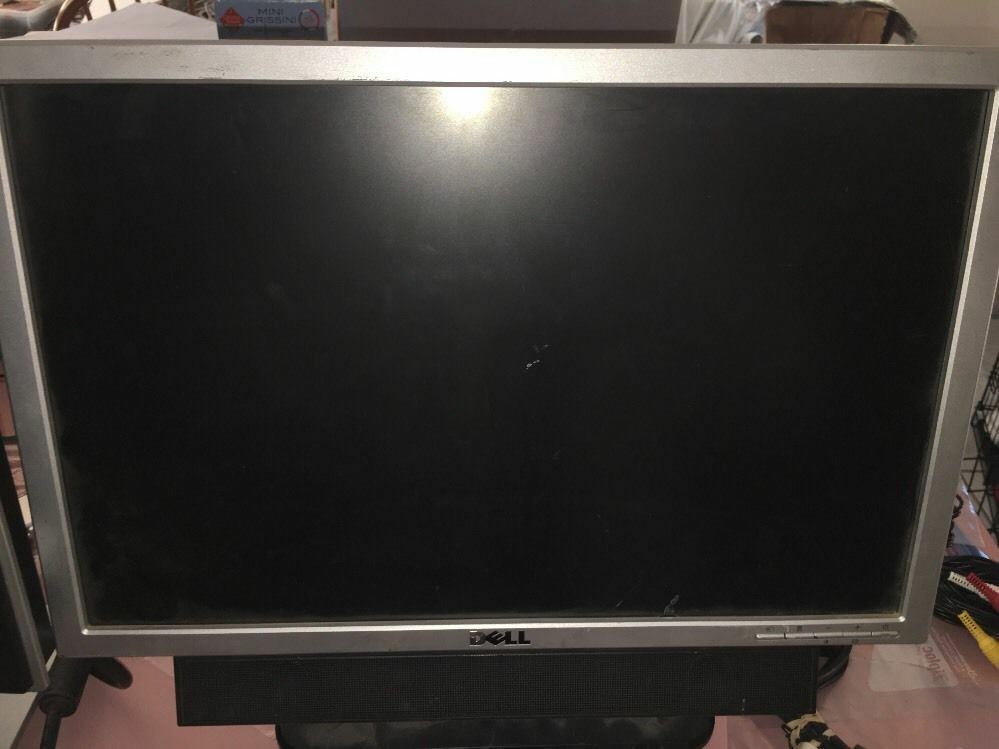 Dell 19" Wide Screen Flat Panel LCD Monitor SE198WFPf