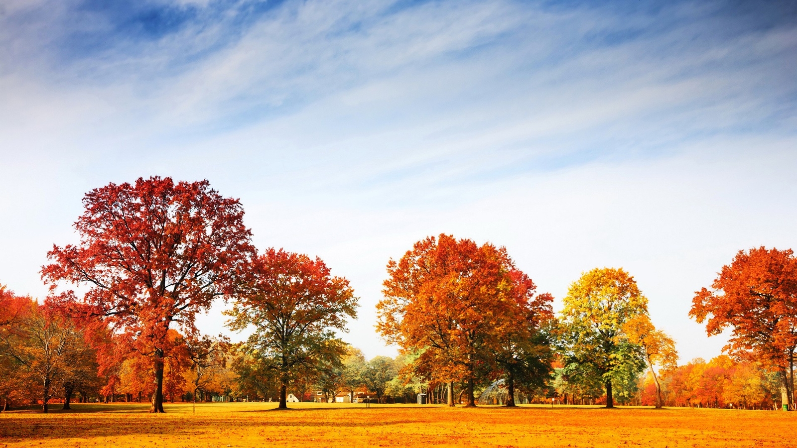 Landscape fall red leaves trees Custom Gaming Mat Desk