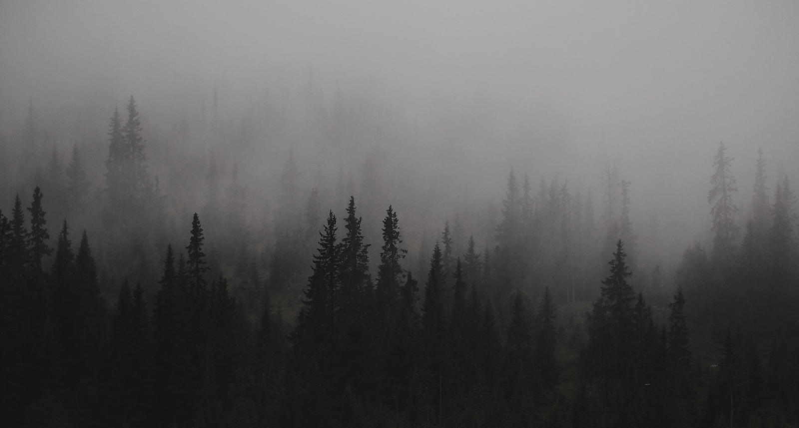 Landscape dark gloomy mist trees nature low Custom Gaming Mat Desk
