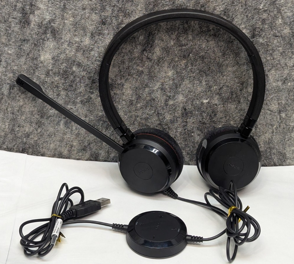 Jabra Evolve 20 Headset Mono USB Wired Corded Black 4999-829-209 HSC016