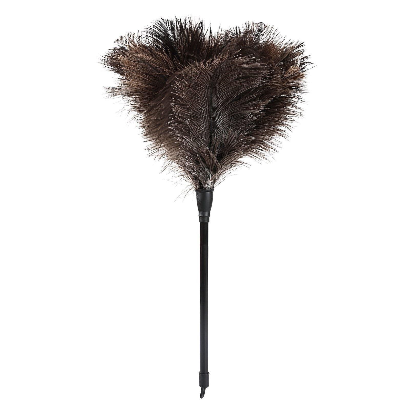 Daieeparty Natural Ostrich Feather Duster 14.9 inch Fluffy Mini Dusters | Han...