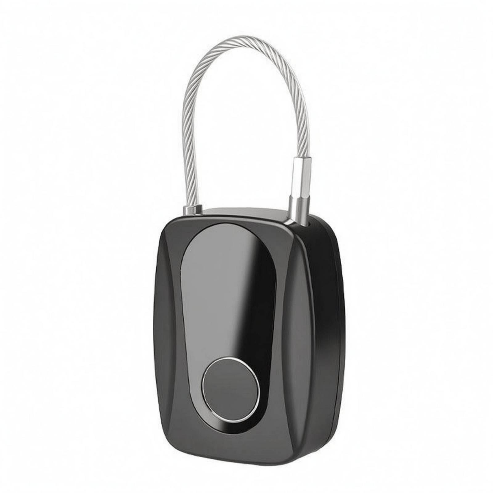 Smart Biometric Padlock Type-C Charging Security Hardware Charging Port