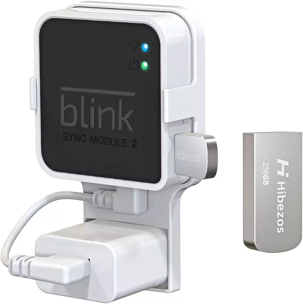 256GB USB Flash Drive and Outlet Mount for Blink Sync Module 2 Save Space...