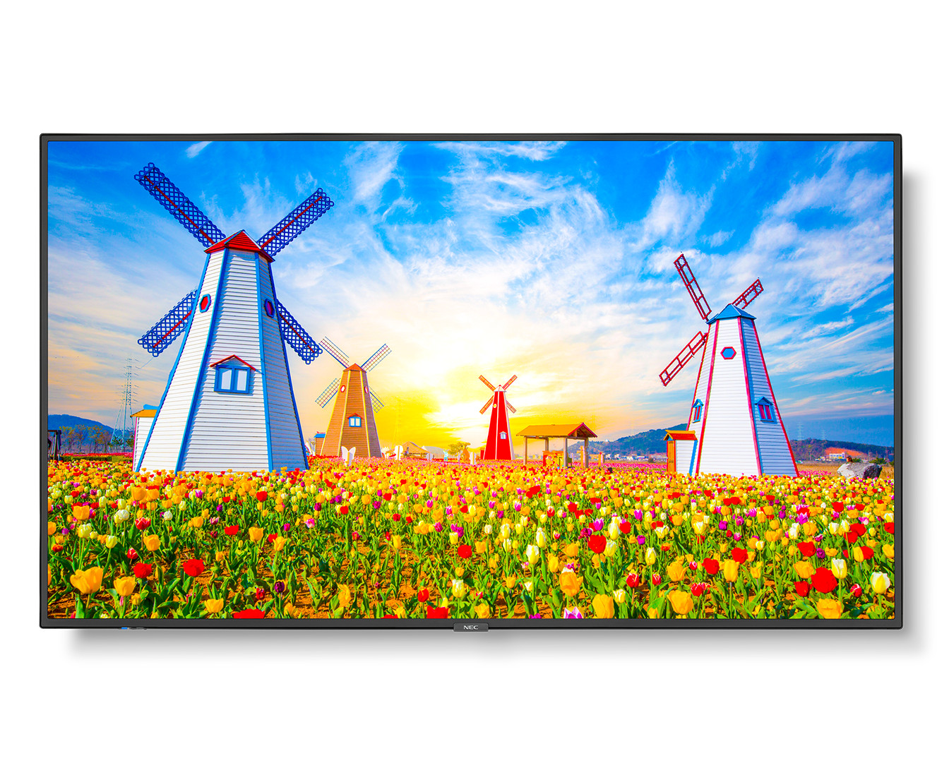 NEC MultiSync M651 65" 4K UHD Commercial LED Signage Display Monitor HDR10