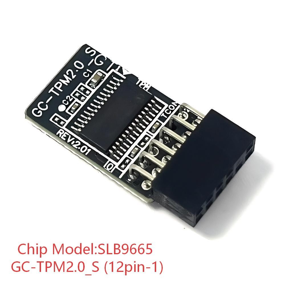 GC-TPM2.0_S 12pin-1 Module SLB9665 For GIGABYTE H310M H rev. 1.x H310M S2P tba