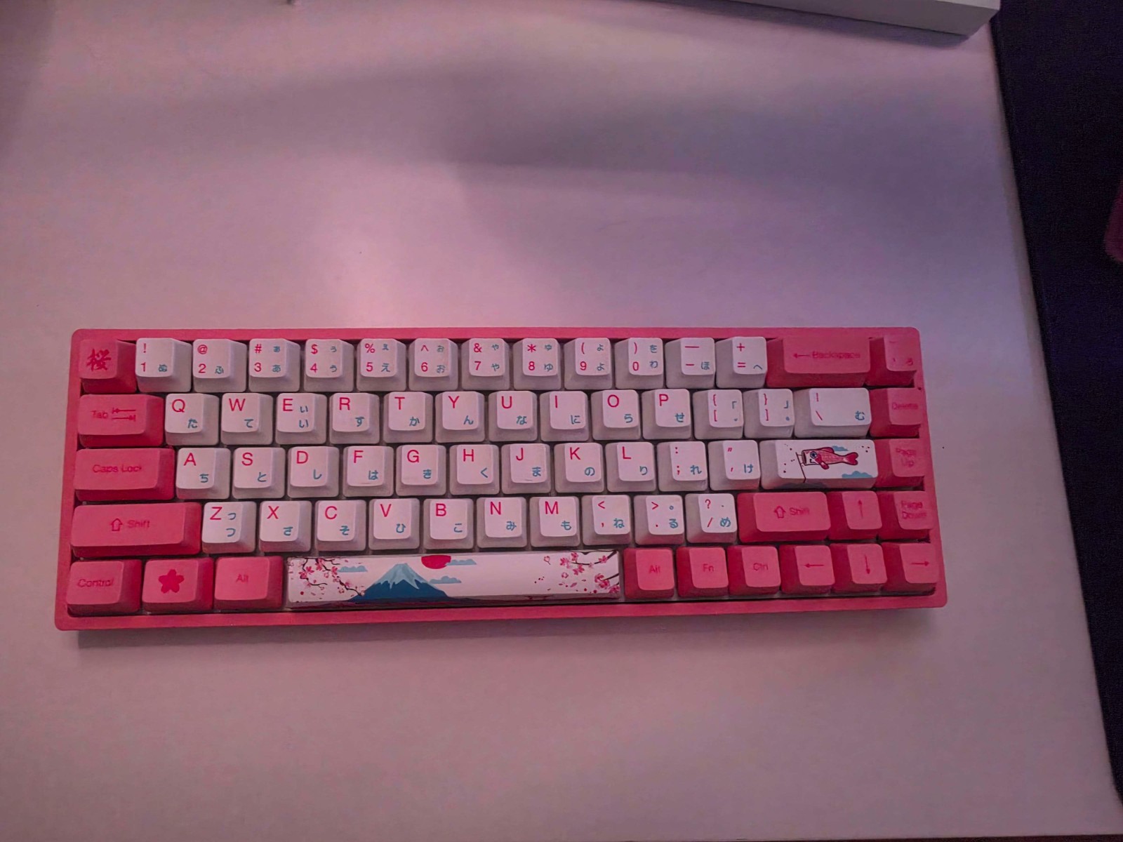 Akko 3061 World Tour Tokyo 60% Mechanical Keyboard Sakura Akko Jelly Blue Switch