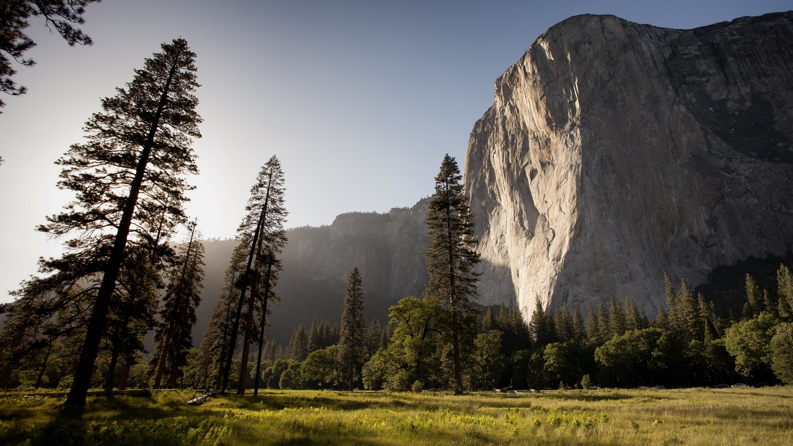 Landscape sunlight trees nature pine yosemite national Custom Gaming Mat Desk