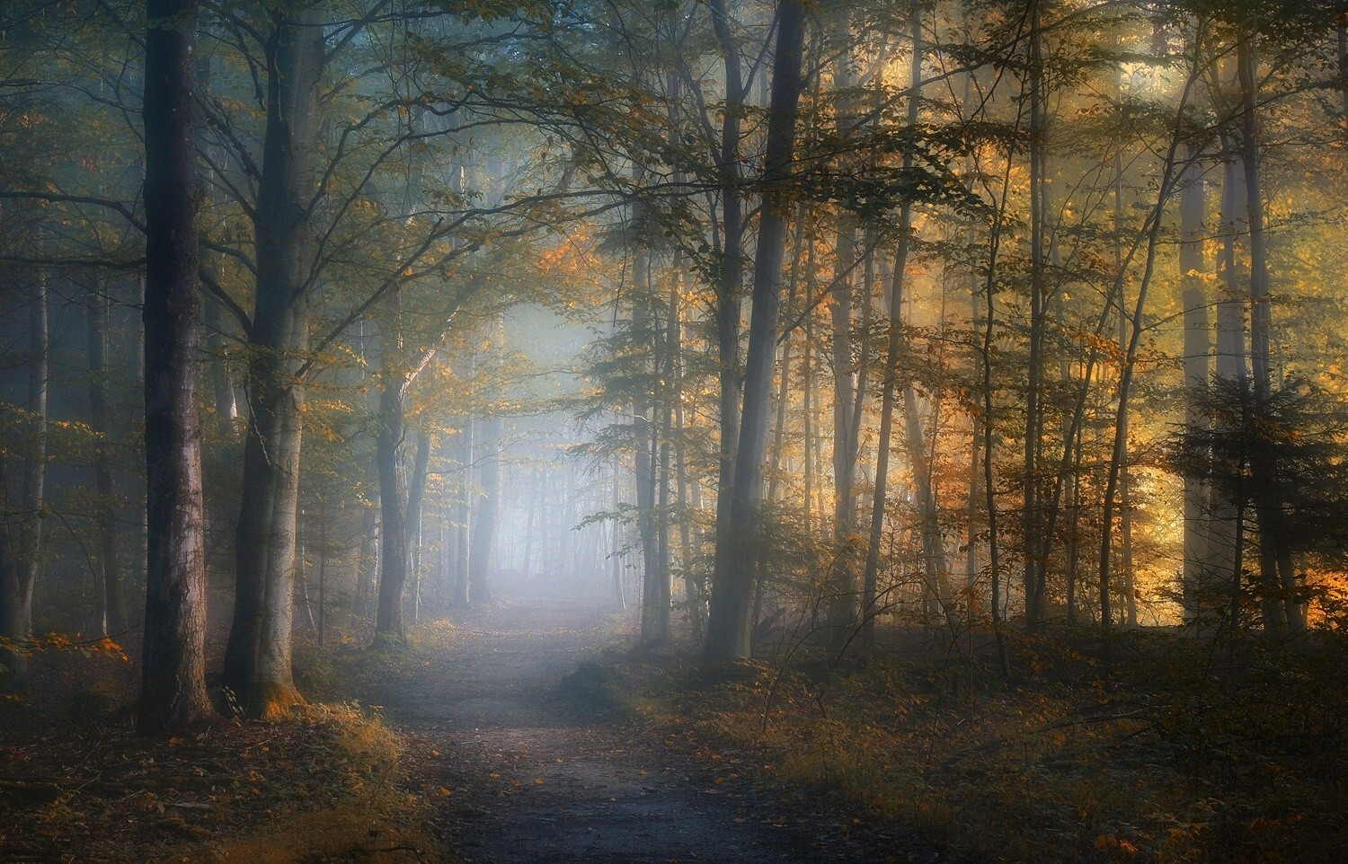 Landscape mist path fall forest leaves trees sunlight Custom Gaming Mat Desk