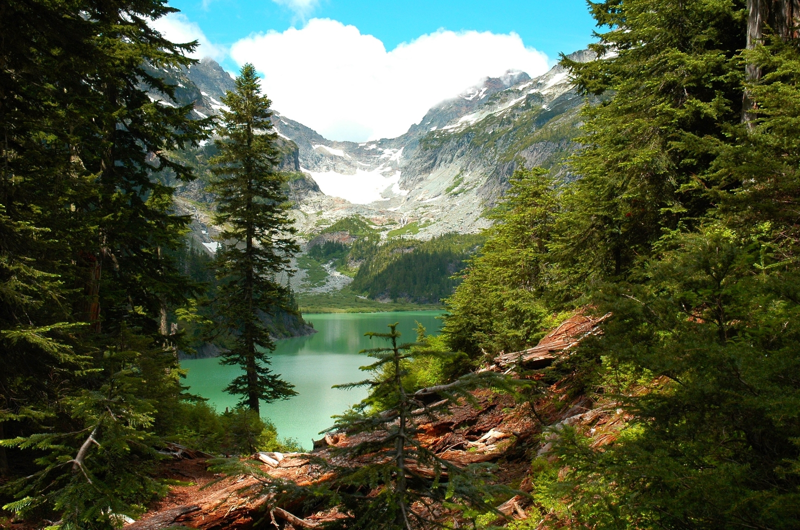 Landscape lake forest mountains washington trees cliff Custom Gaming Mat Desk