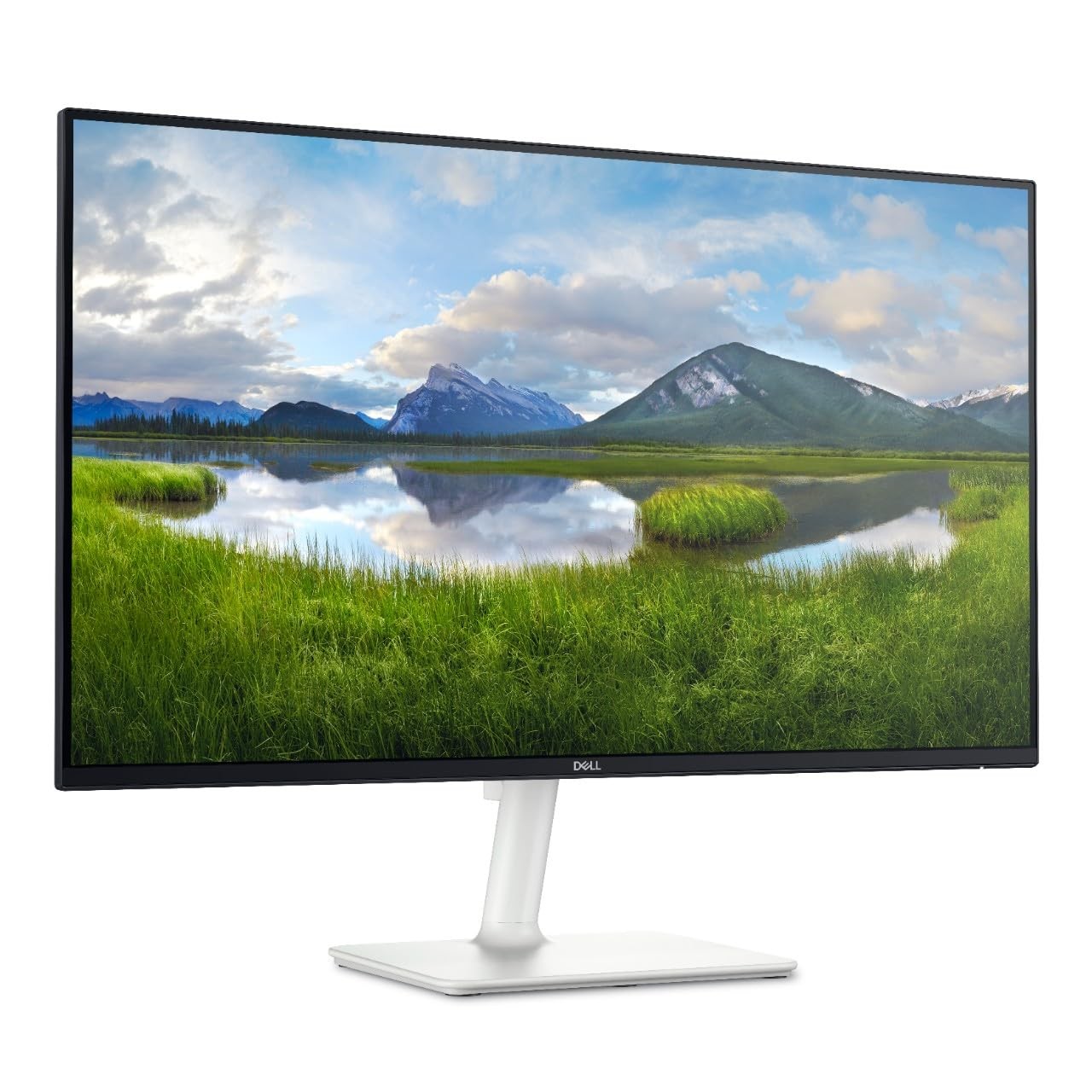Dell S2425H Monitor - 23.8-inch Full HD (1920x1080) 8Ms 100Hz Display,