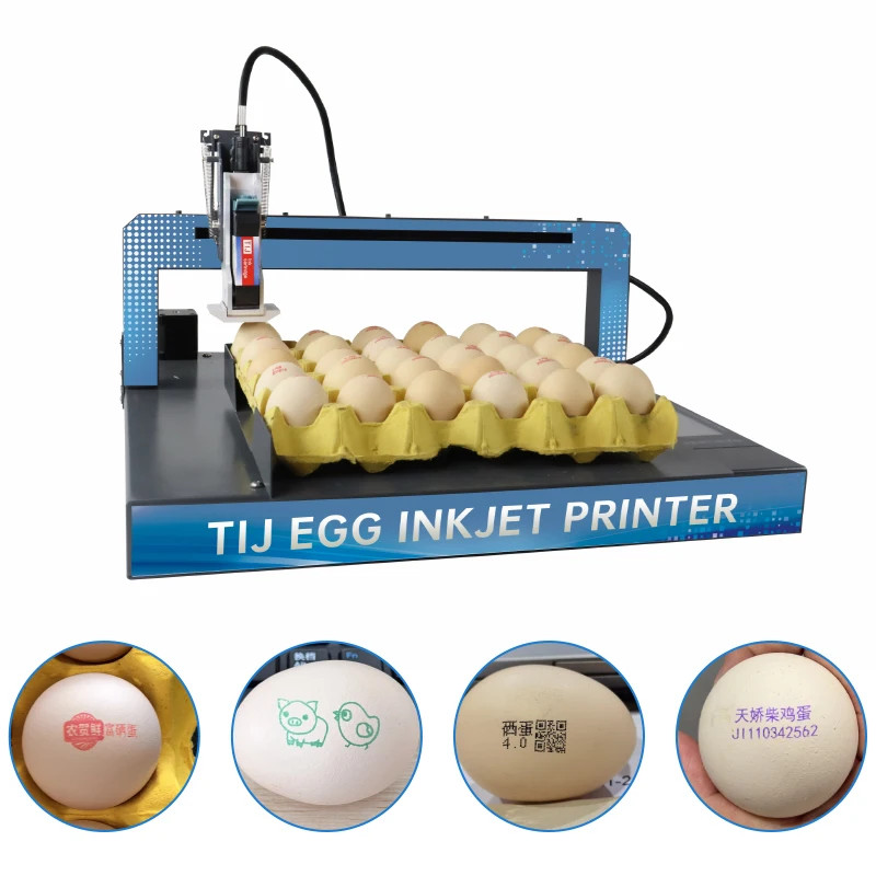 Fully automatic egg inkjet printer prints text batch number barcode on eggs