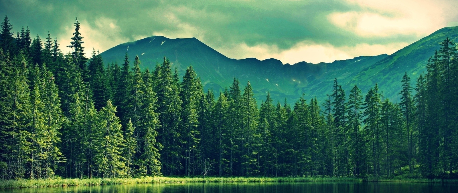 Landscape mountains color correction forest pine trees Custom Gaming Mat Desk
