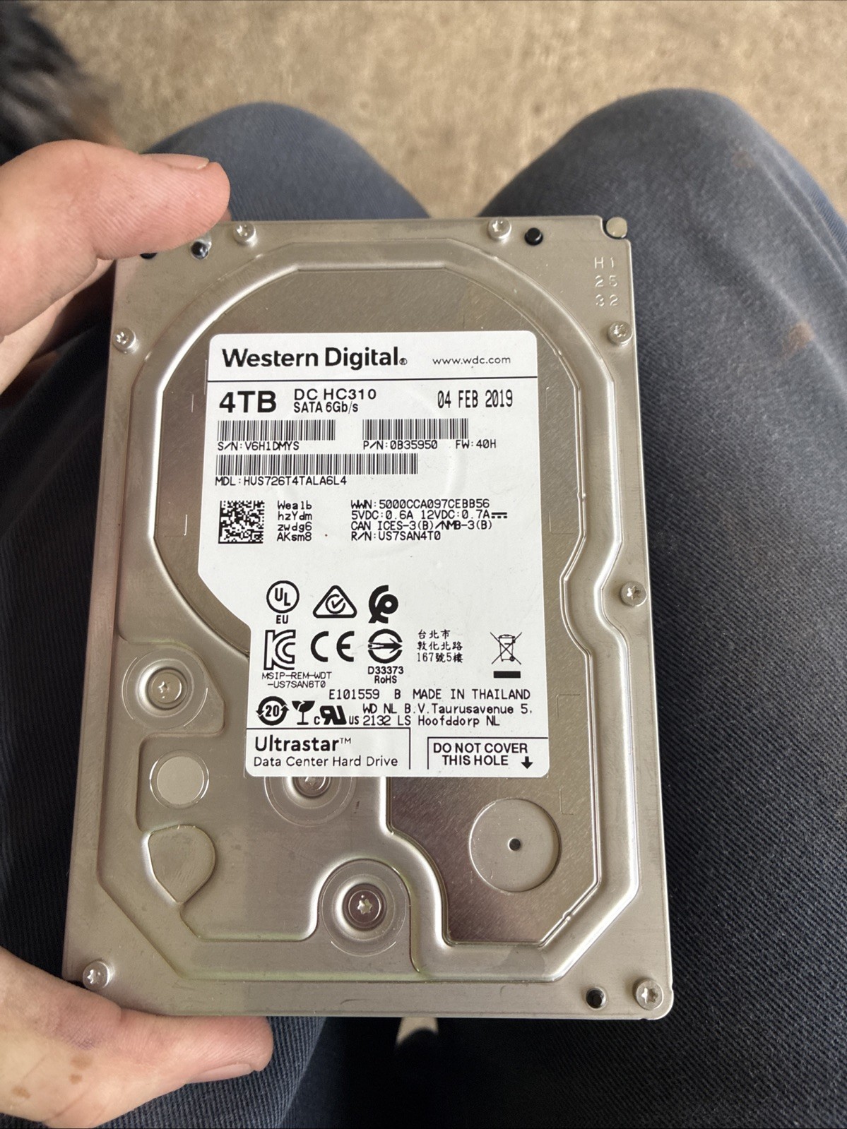 Western Digital DC HC310 Desktop