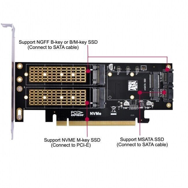 Cablecc    PCI Express PCI-E Dual SATA to NGFF NVME MSATA M-Key B/M-key SSD