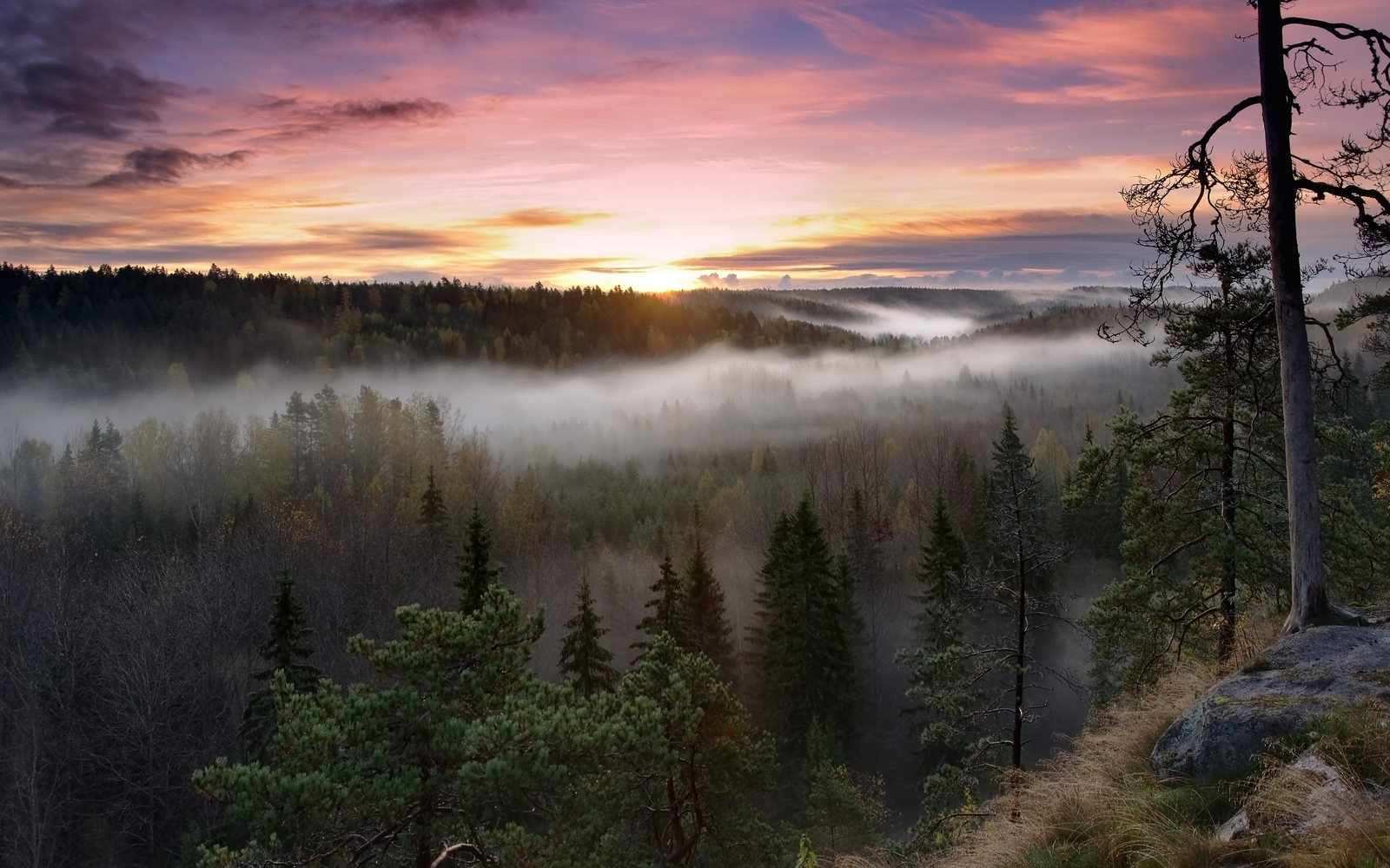 Landscape trees mist sunset nature sunlight Custom Gaming Mat Desk