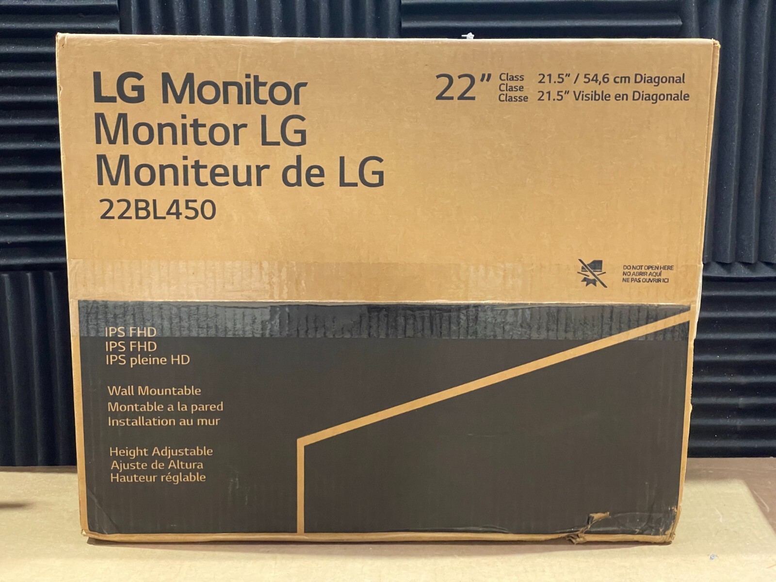 LG Electronics 22" LED LCD Display (1080p) 22BL450Y-B ✅ ❤️️ ✅ ❤️️ READ