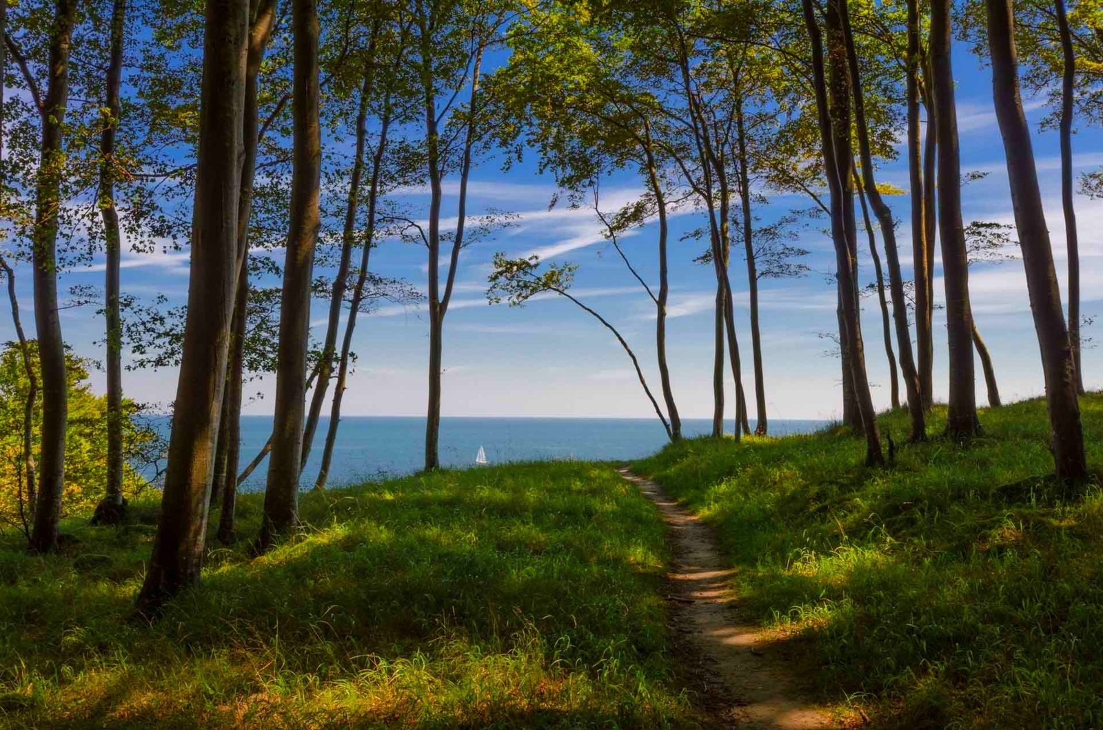 Landscape forest path sea trees germany green blue coast Custom Gaming Mat Desk