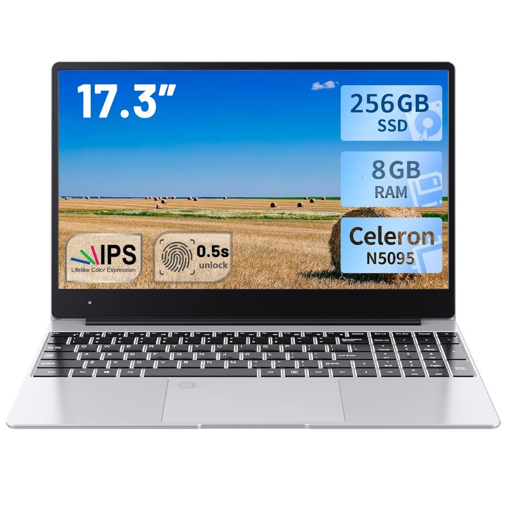 17.3In Display Laptop RAM8GB SSD256GB DDR5 Intel N5095 Notebook Computers Sliver
