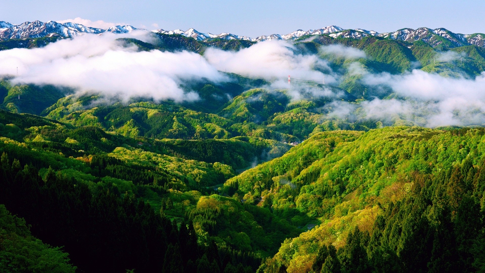 Landscape mountains hills trees forest mist photography Custom Gaming Mat Desk