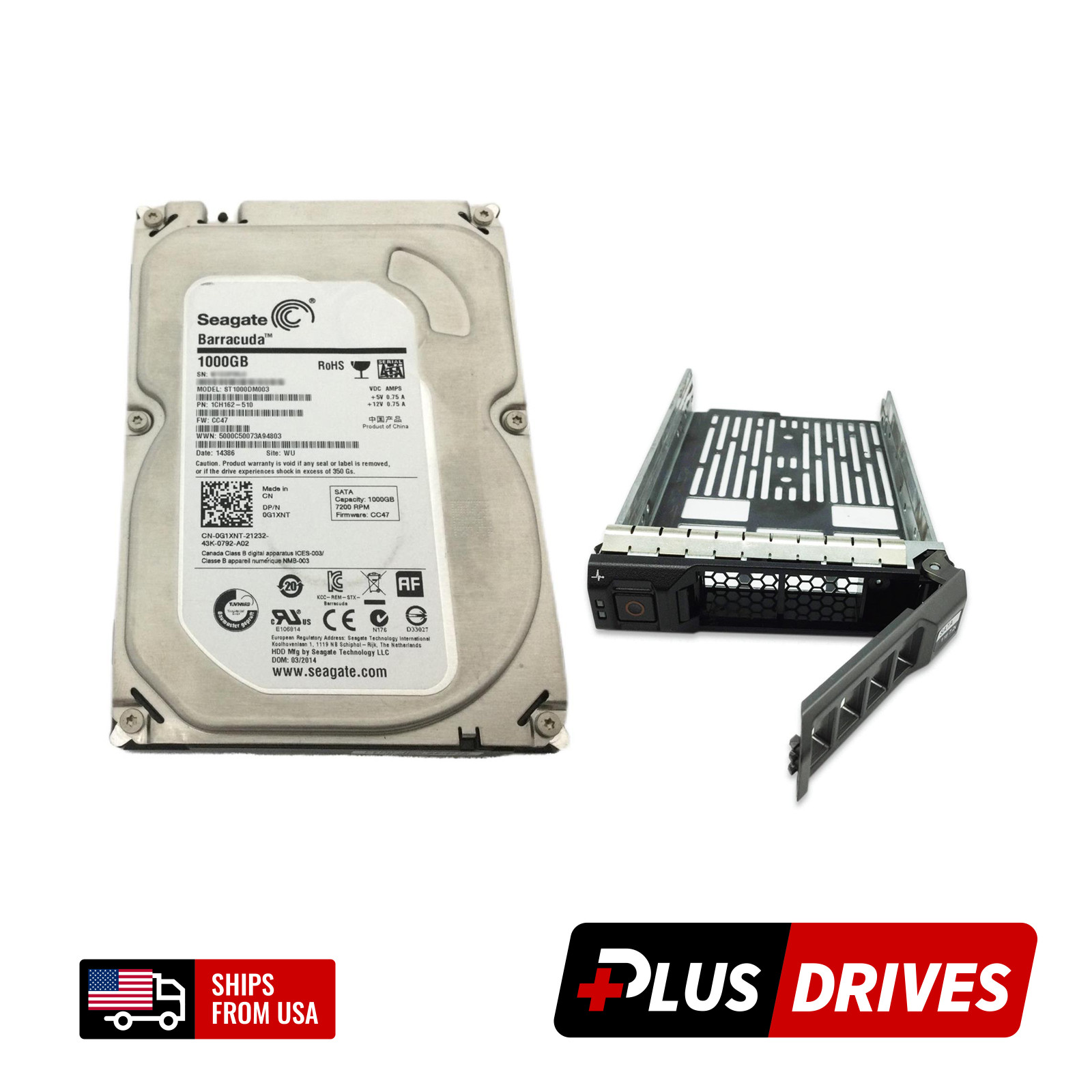 1TB SATA Dell G1XNT 3.5" 6Gbps 7.2K RPM 64MB Server Hard Drive w/ Caddy