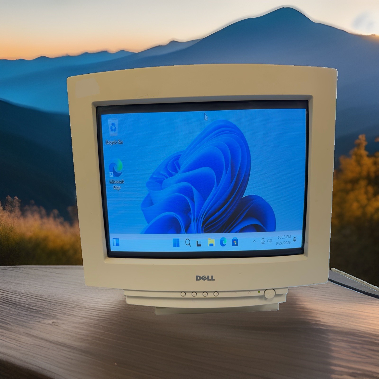 Vintage Dell D1028L 17" CRT VGA Computer Monitor 1280 x 1024 @ 60Hz Retro Gaming