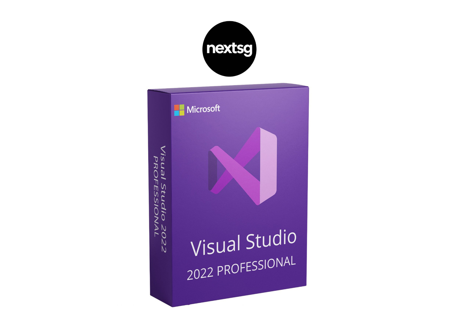 Visual Studio 2022 Professional