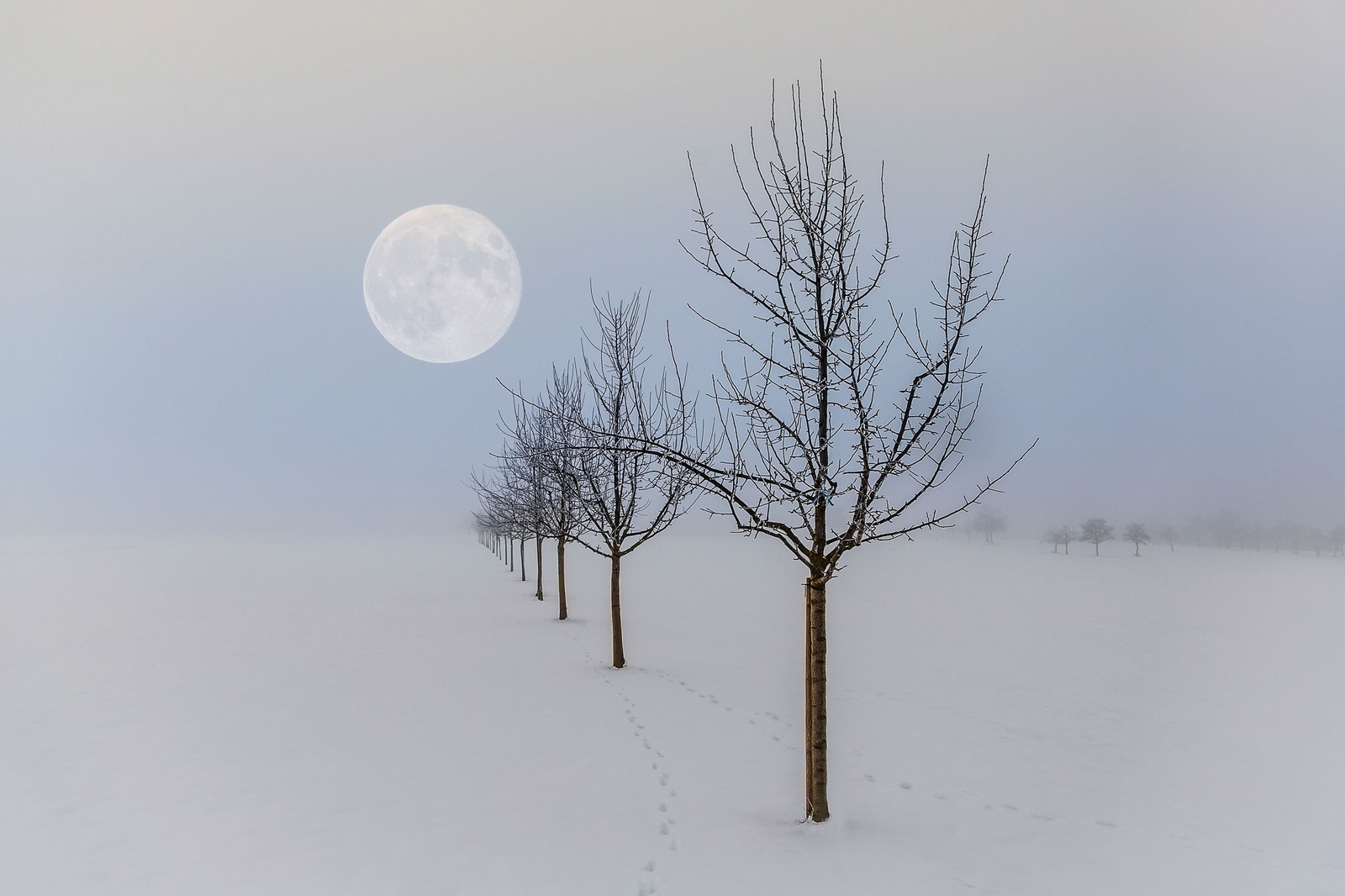 Landscape winter moon nature seasons Custom Gaming Mat Desk