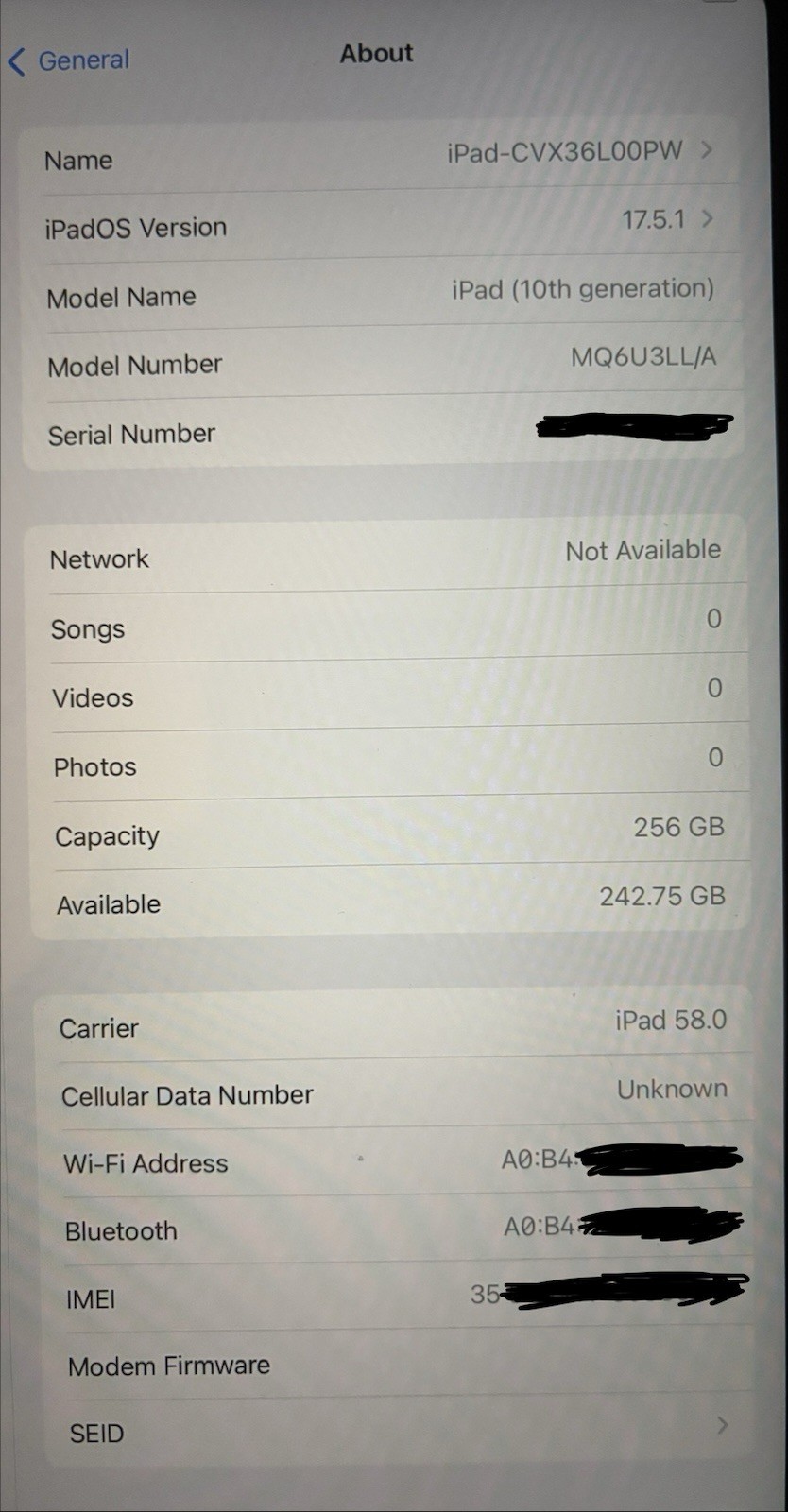 the 10.9-Inch iPad (10th Generation) with Wi-Fi + Cellular and 256GB