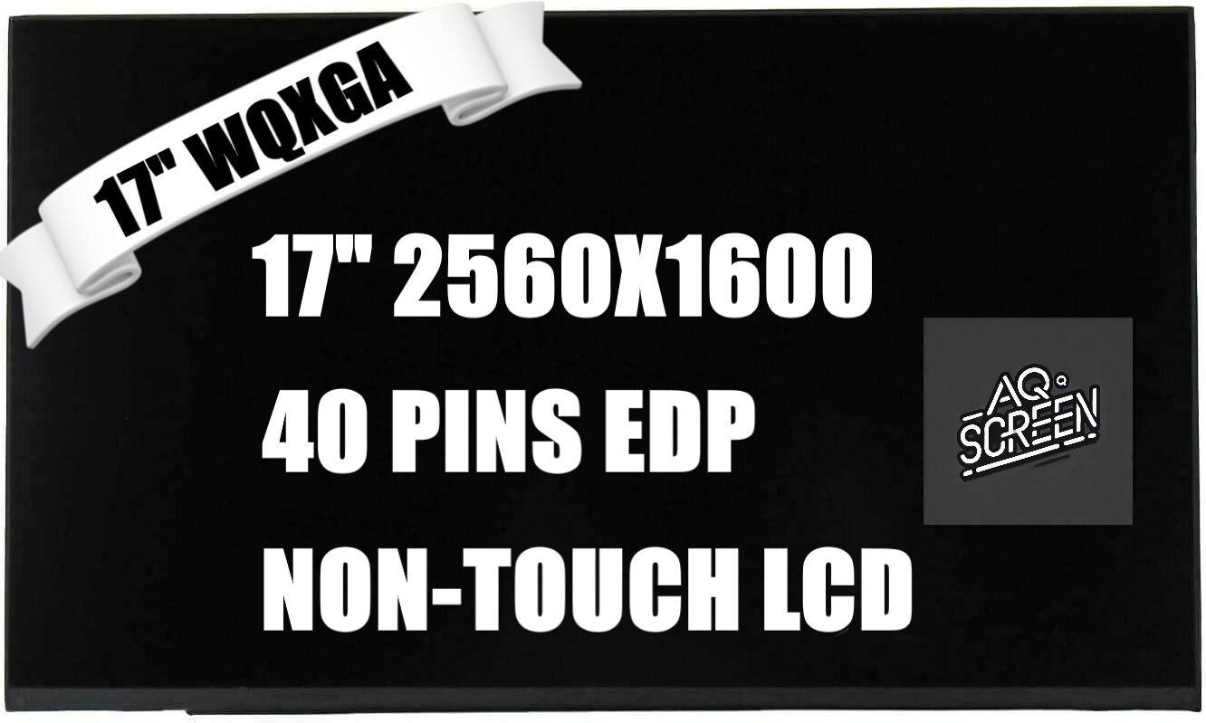 B170QAN01.2 LCD Screen LCD Display Panel 16:10 2560x1600pixel 178PPI IPS 240 Hz
