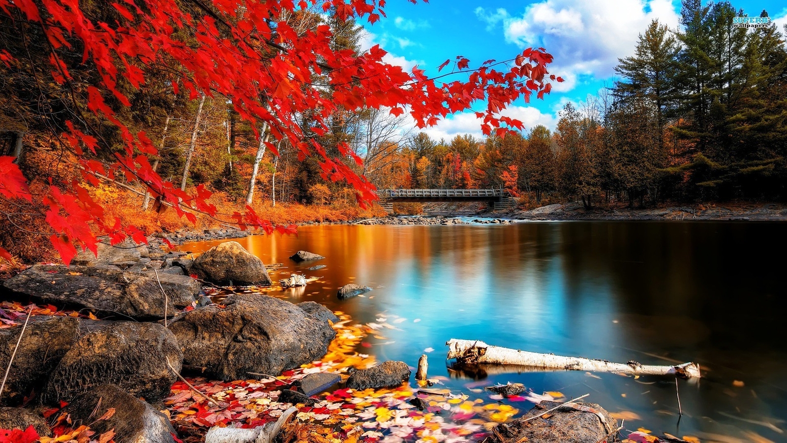 Landscape fall leaves nature Custom Gaming Mat Desk