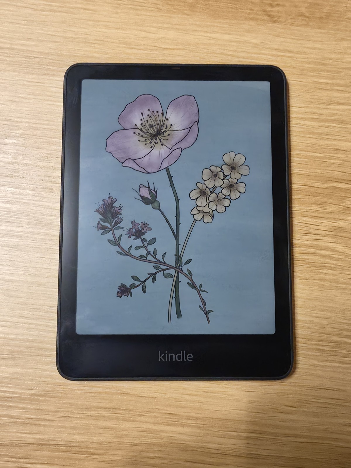 Amazon Kindle Colorsoft Signature Edition 32GB Black