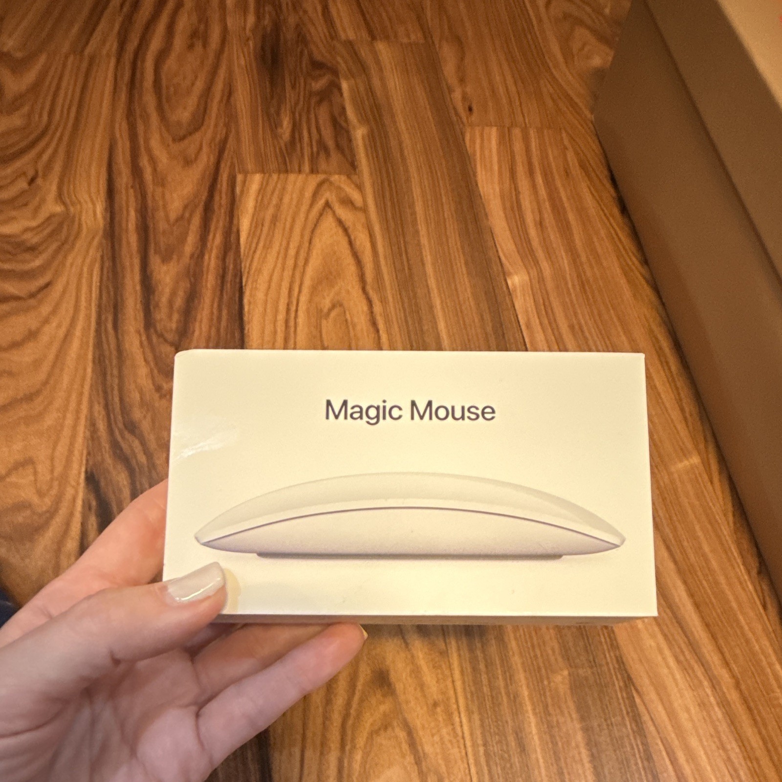 Apple Magic Mouse USB-C Multi-Touch Rechargeable Optical White MXK53AM/A
