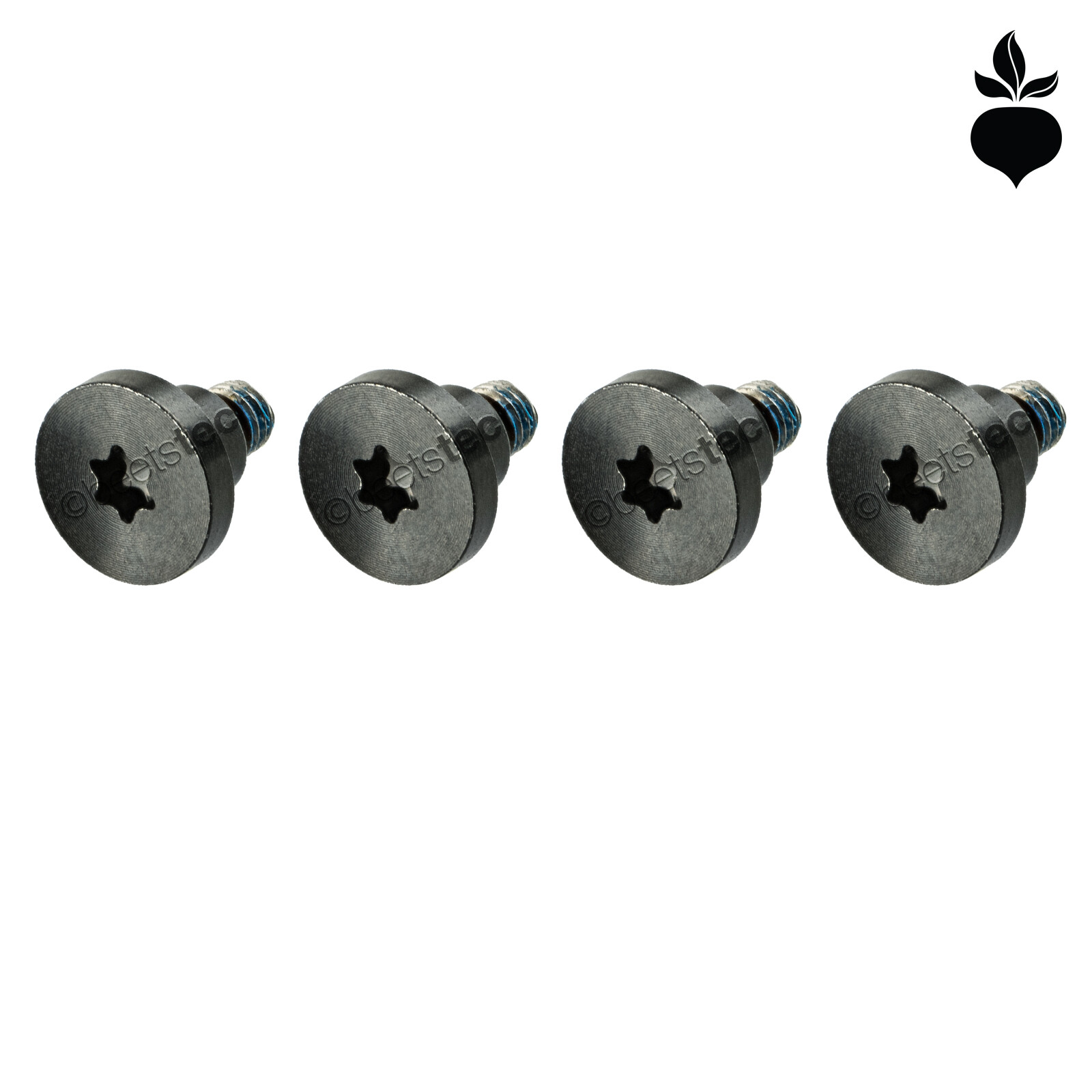 GRAPHICS BOARD RETENTION BRACKET SCREWS (Torx T10) - Apple Mac Pro A1481 2013