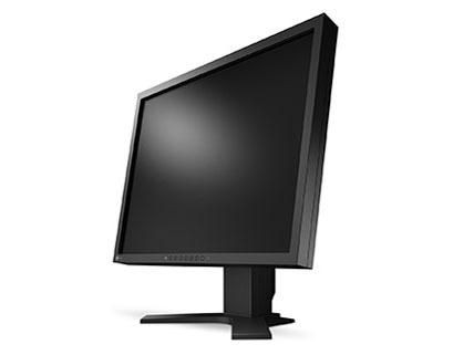 EIZO FlexScan S2134-HGY 21.3 Inch LCD Monitor 1600x1200 VGA DVI DisplayPort
