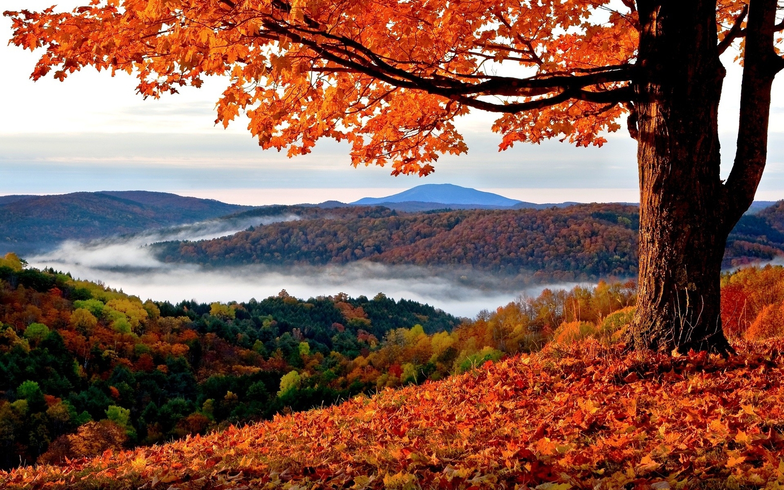 Landscape fall trees hills leaves mist far view fallen Custom Gaming Mat Desk