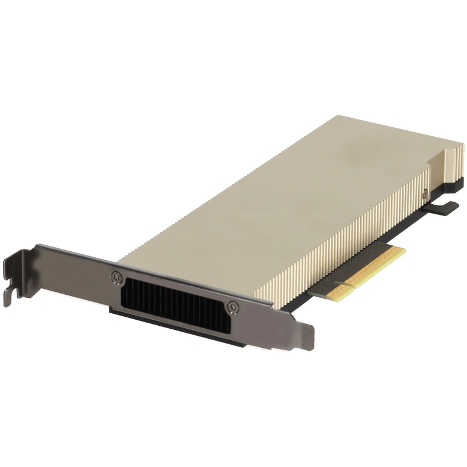 MG5JX Dell NVIDIA A2 Tensor Core 16GB GDDR6 60W FHHL SW FH PCIe GPU v2