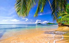 Landscape tropical beach palm Custom Gaming Mat Desk picture