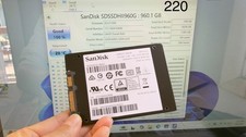 SANDISK SDSSDHII-960G ULTRA II 960GB SATA SSD health 100% Usage 266 Hours picture