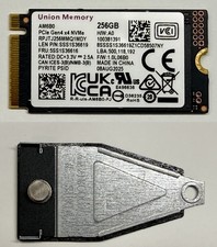 Union Memory 256GB SSD AM6B0 M.2 2242 PCIe NVMe RPJTJ256MMQ1MDY w/ 2280 Adapter picture
