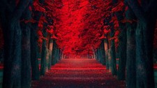 Landscape trees leaves red Custom Gaming Mat Desk picture