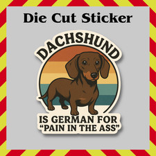 Funny Dachshund Pain In The Ass Sticker, Wiener Dog Waterproof Vinyl Decal picture