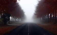 Landscape road trees mist Custom Gaming Mat Desk picture