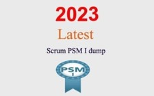 Scrum PSM I Q&A PREMIUM picture