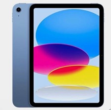 Apple iPad Tablet - Blue & Silver Color picture