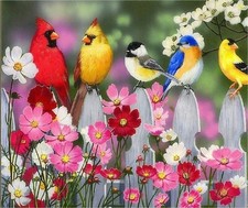BIRD LOVER'S CARDINAL CHICKADEE BLUEBIRD ON A FENCE COMPUTER MOUSE PAD  9 x 7 picture